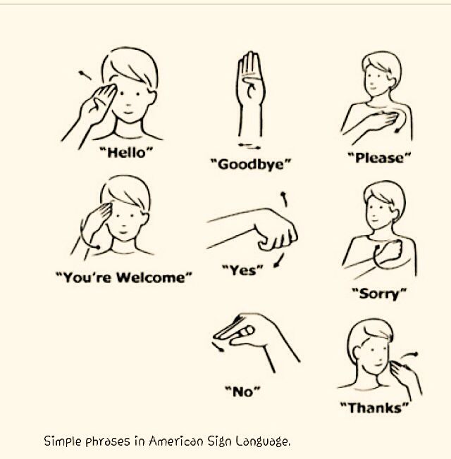littleSonder Sign Language Alphabet Sign Language Words Sign littlesonder-sign-language-alphabet-sign-language-words-sign