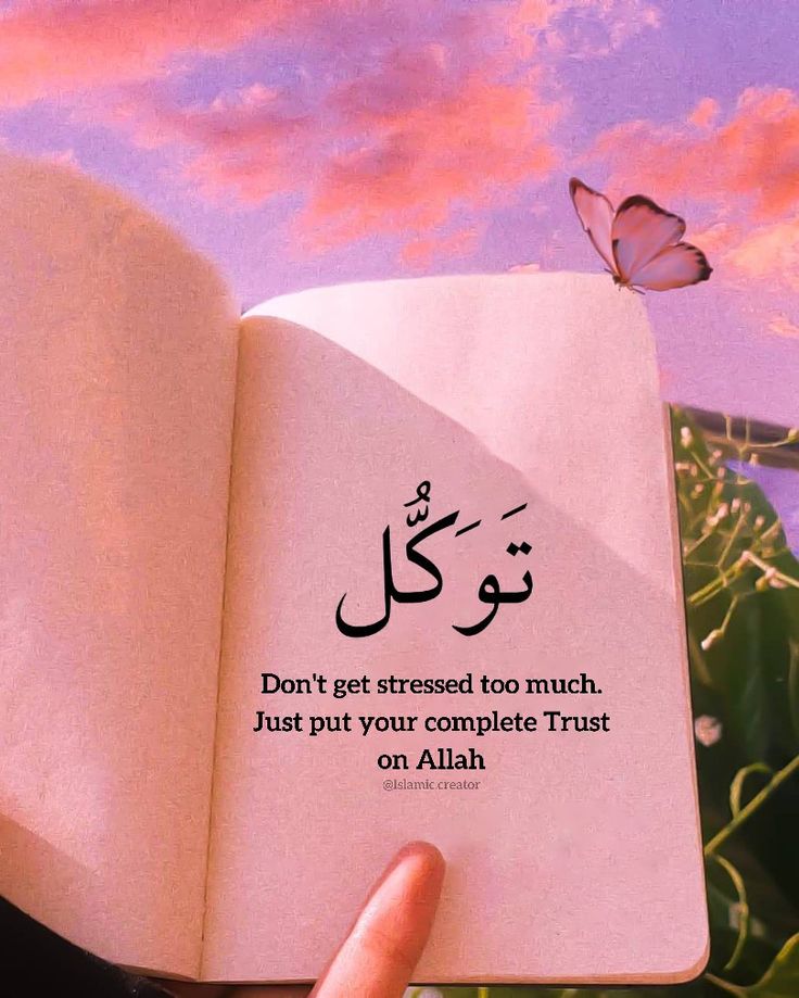 Pinterest Beautiful Mind Quotes Islamic Love Quotes Quran Quotes pinterest-beautiful-mind-quotes-islamic-love-quotes-quran-quotes