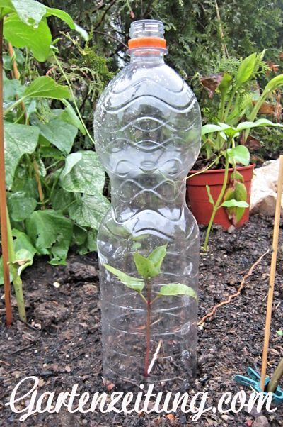 Flasche In MeuSe Flasche In MeuSe