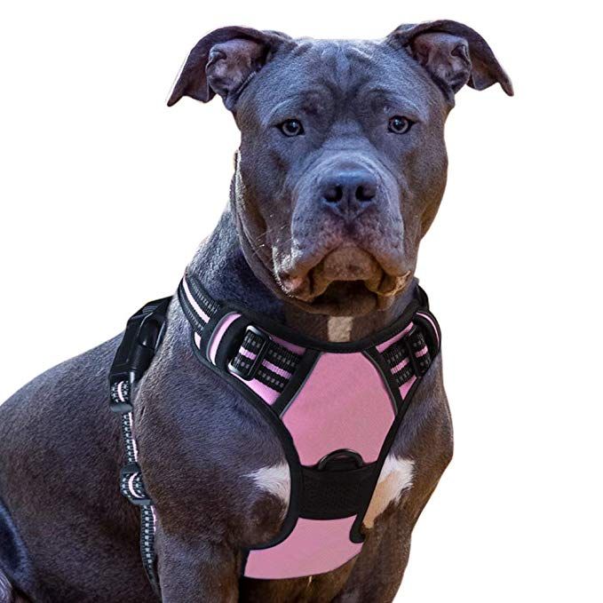 No Pull Dog Harness Medium Pink Front Clip Vest Harness Dog Car