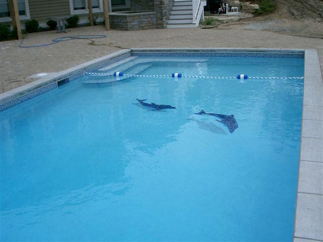 Broken Glass Bottom Pool Broken Glass Bottom Pool