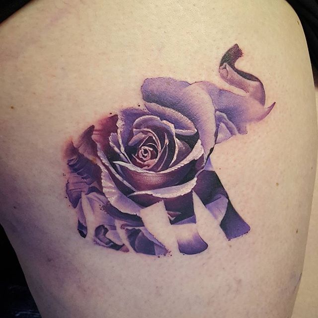 25 unique elephant tattoos ideas on pinterest elefant tattoo 25 unique elephant tattoos ideas on pinterest elefant tattoo