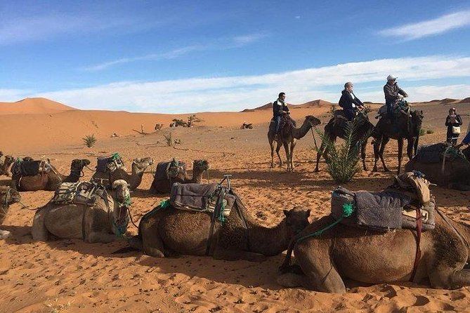 Authentic From Fes To Marrakech Via Desert Tour 4 Days 3 Nights Safe Driving Affiliate Ad Marrakech Desert Authentic Desert Tour Marrakech Tours