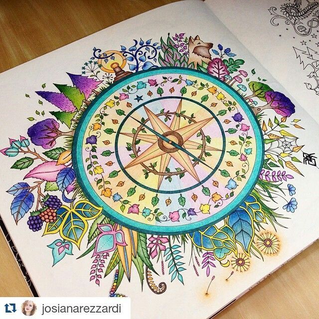 Johanna Basford Coloring Book Joanna Adult Books Colouring Mandala How To Draw Enchanted Forest Colored