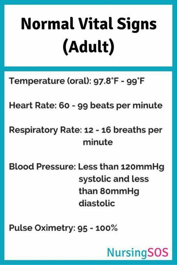 IV vein sites - Google Search The Southern Spaniel Collars - histology assistant sample resume IV vein sites - Google Search The Southern Spaniel Collars - histology assistant sample resume