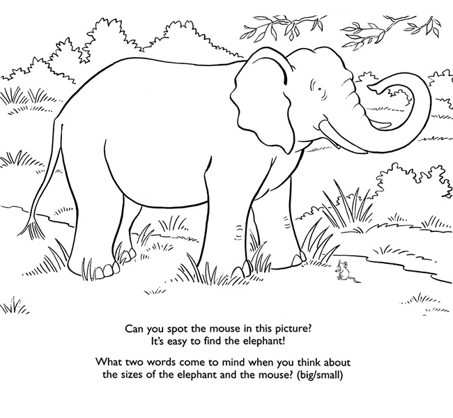 66 best Printable Elephants images on Pinterest Coloring pages - new elephant mandala coloring pages easy 66 best Printable Elephants images on Pinterest Coloring pages - new elephant mandala coloring pages easy