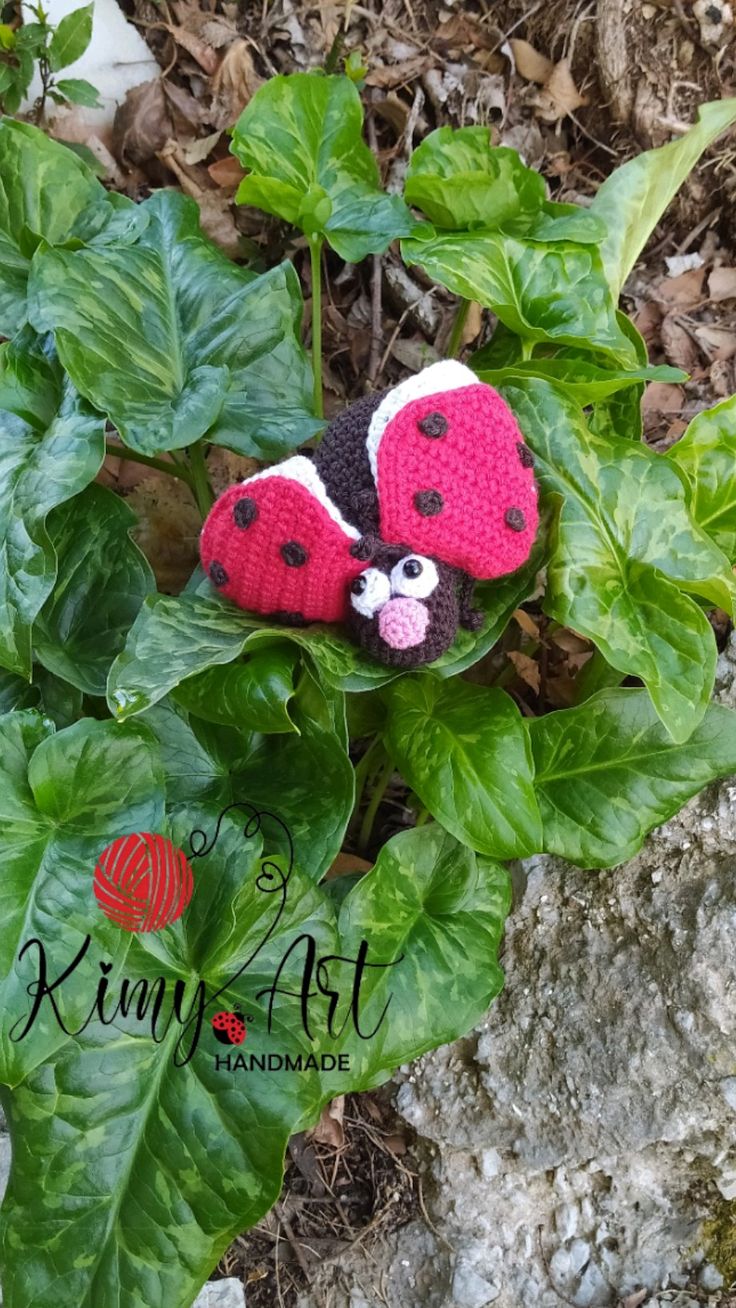 Pinguino E Coccinella Amigurumi amigurumi amigurumicoccinella pinguino-e-coccinella-amigurumi-amigurumi-amigurumicoccinella