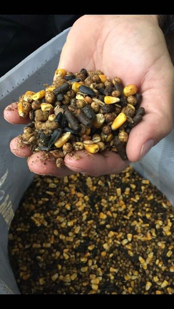 Mass Production Deer Feed GUARANTEED ANALYSIS Deer Feed Mass Production Deer Feed GUARANTEED ANALYSIS Deer Feed