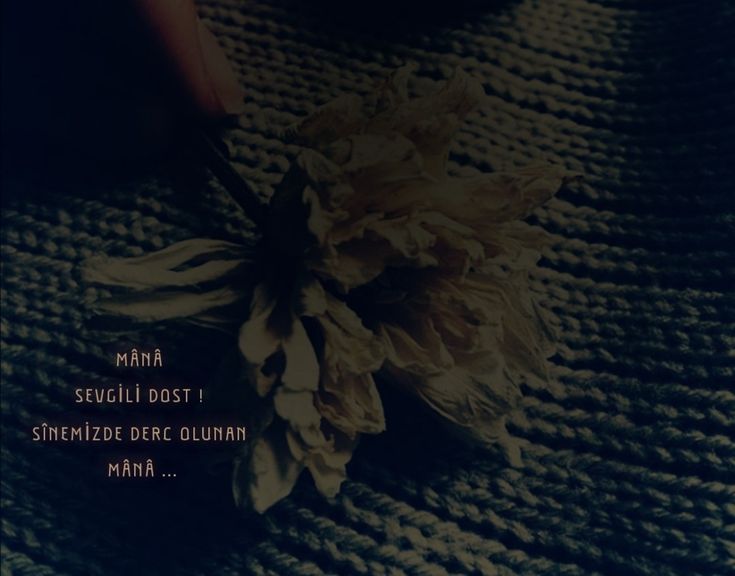 Dil Azurde Adli Kullanicinin Layuad Panosundaki Pin Guzel Soz Edebiyat Ozlu Sozler