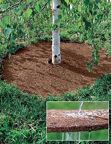 Coco Fiber Tree Ring Organic Coco Fiber Tree Ring Organic