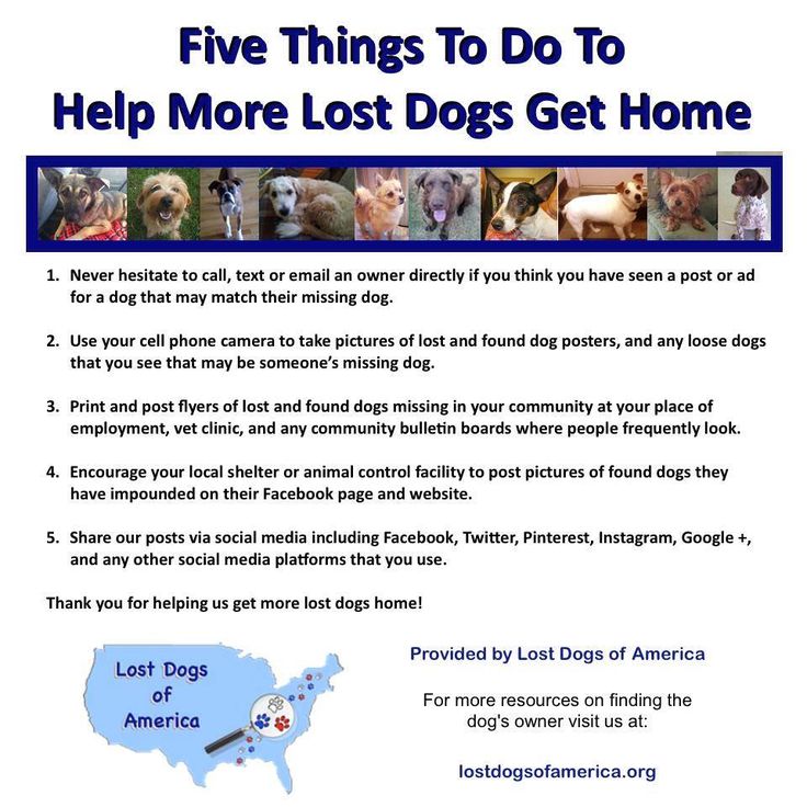 9 best five things flyers images on pinterest things to do things where to post flyers