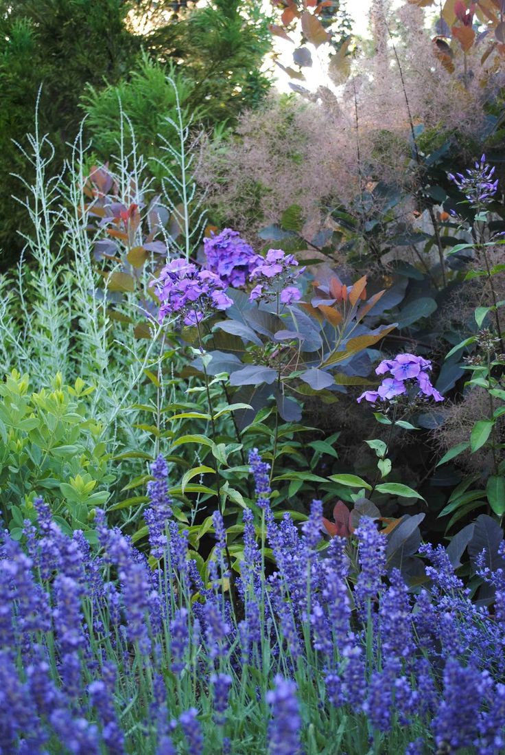 782 best garden images on pinterest | gardens, landscaping and flowers 782 best garden images on pinterest | gardens, landscaping and flowers