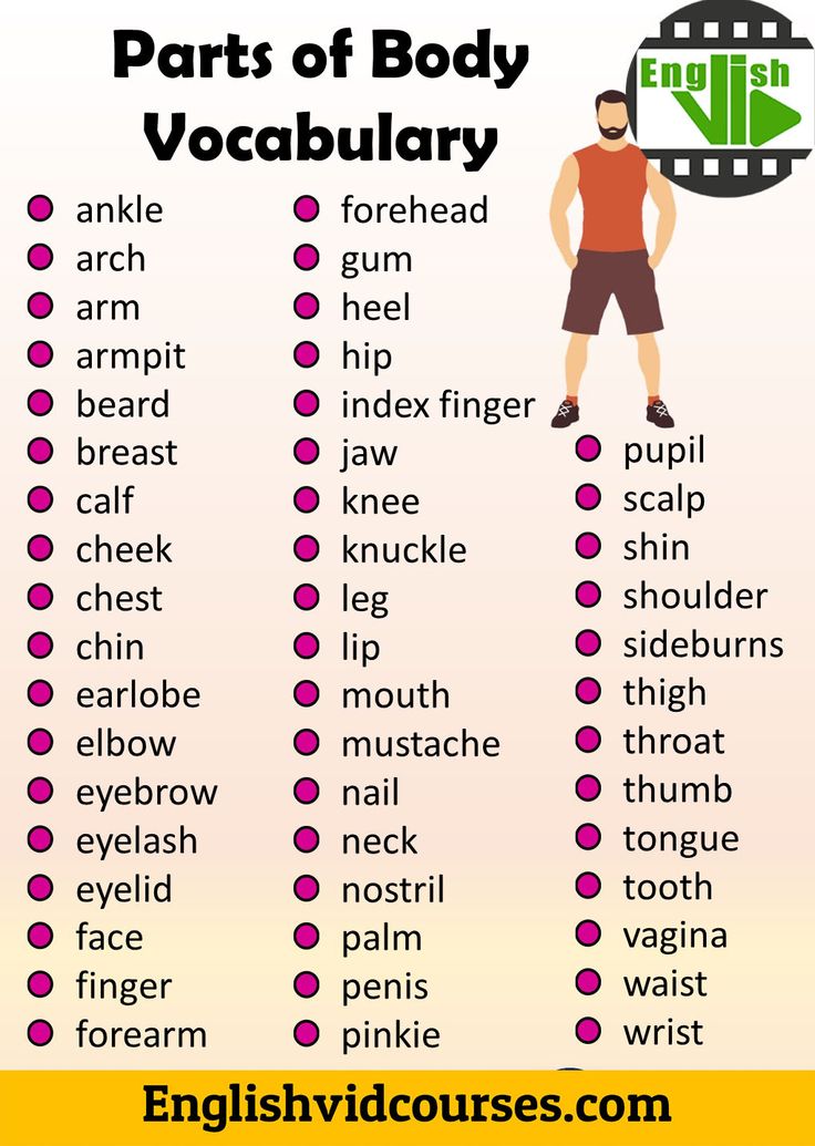 Parts Of Body Vocabulary In English Learn English Words English parts-of-body-vocabulary-in-english-learn-english-words-english
