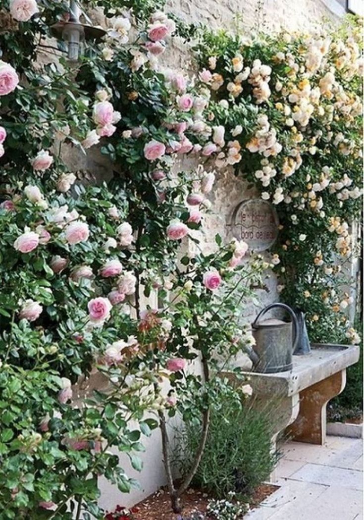 Lovely Small Courtyard Garden Design Ideas For Home 18