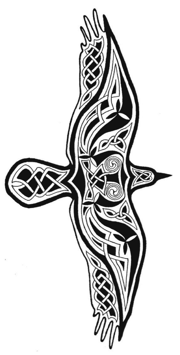 1974 best celtic art images on pinterest drawing drawings and 1974 best celtic art images on pinterest drawing drawings and