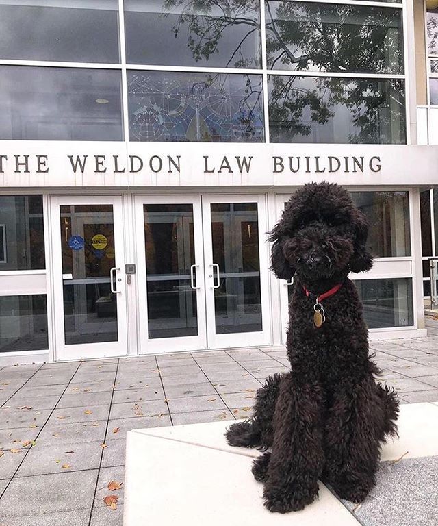 Wish Me Luck On My First Day Of Law School