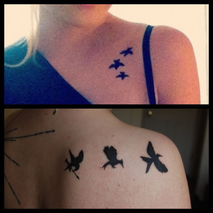 45 best divergent bird tattoo designs images on pinterest 45 best divergent bird tattoo designs images on pinterest