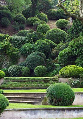 Garden Design Slope best 25+ landscaping a slope ideas on pinterest | sloped yard Garden Design Slope best 25+ landscaping a slope ideas on pinterest | sloped yard