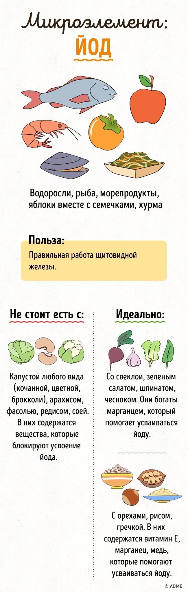 Помогает ли свекла улучшить показатели спортсменов Помогает ли свекла улучшить показатели спортсменов