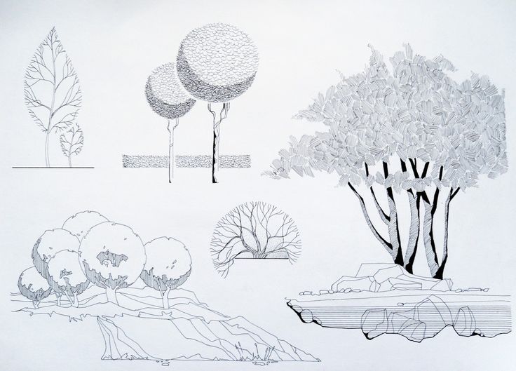 Architecture Drawing Trees 32 best 011 images on pinterest | architecture, drawing trees and Architecture Drawing Trees 32 best 011 images on pinterest | architecture, drawing trees and