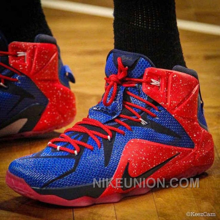 Sale Online Nike LeBron 12 Florida Gators PE