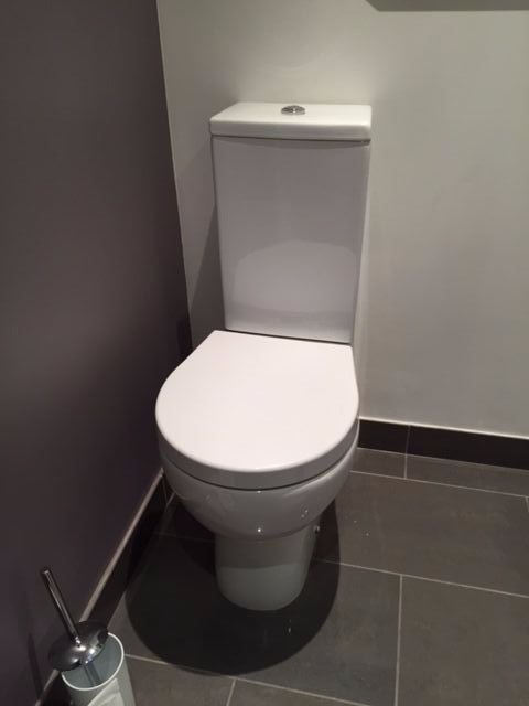 37 best Toilet Seats images on Pinterest | Toilet seats, Toilets ... 37 best Toilet Seats images on Pinterest | Toilet seats, Toilets ...