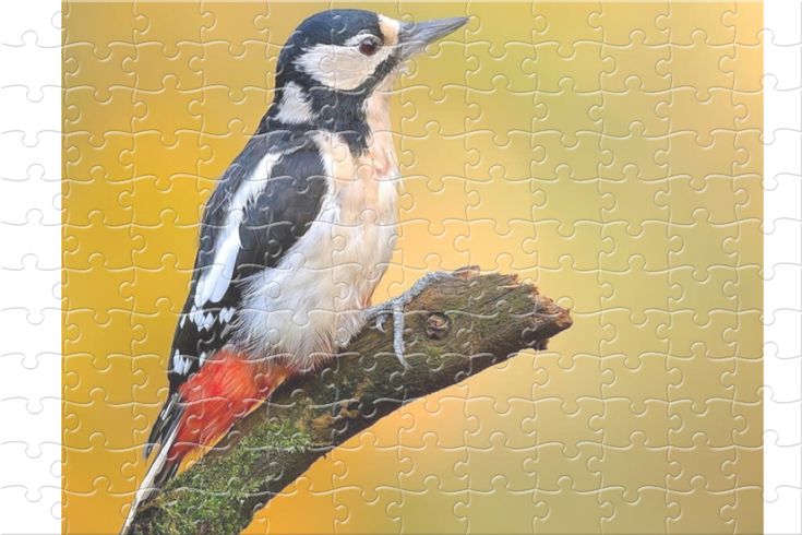 Pin on Jigsaw puzzles