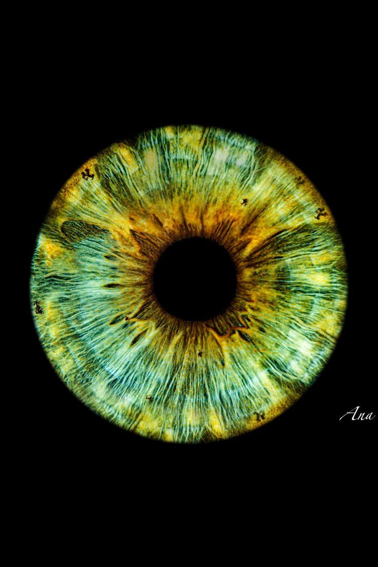 Green Eye Photography Close Up Eyemazy Unique Eye Photo Animasi Green Eye Photography Close Up Eyemazy Unique Eye Photo Animasi