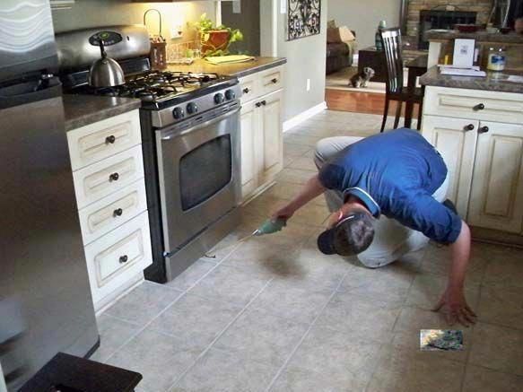 O Conner Termite Pest Control Bakersfield Has Detailed Knowledge Regarding Pest Control In Bakersfield Termite Control Termite Pest Control Best Pest Control