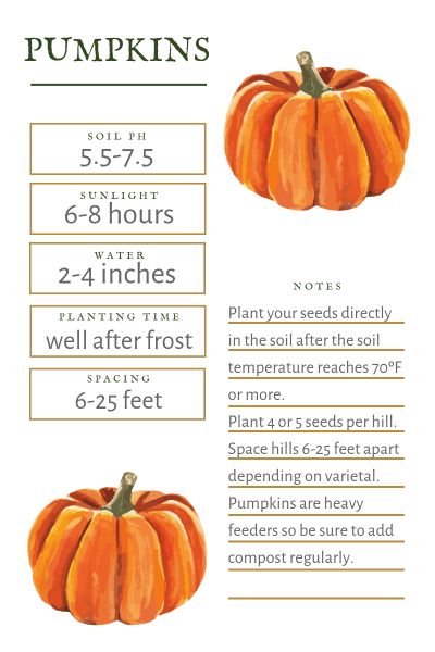 When to plant pumpkins