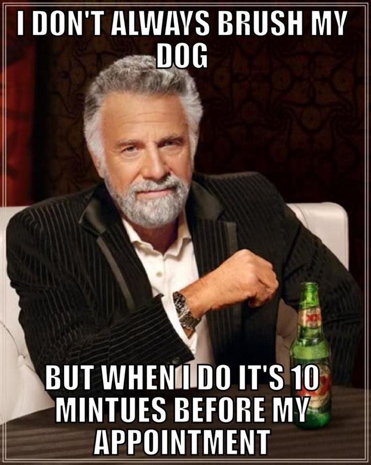 33 Best Funny Dog Grooming Quotes Images On Pinterest Grooming Dogs 33 Best Funny Dog Grooming Quotes Images On Pinterest Grooming Dogs