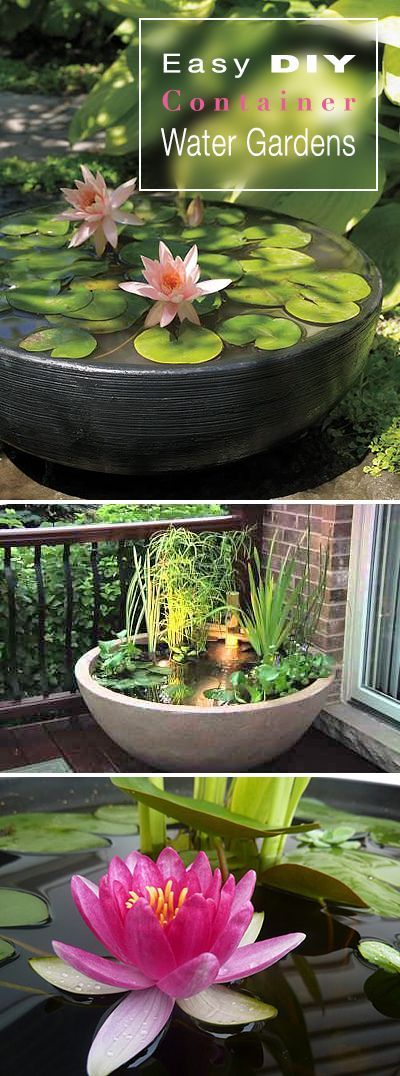 Water Garden Ideas love the water feature i already have the water pump Easy Diy Container Water Gardens Water Garden Ideas find this pin and more on ponds water works Easy Diy Container Water Gardens