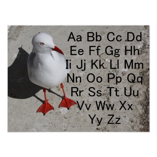 alphabet charts alphabet charts alphabet chart