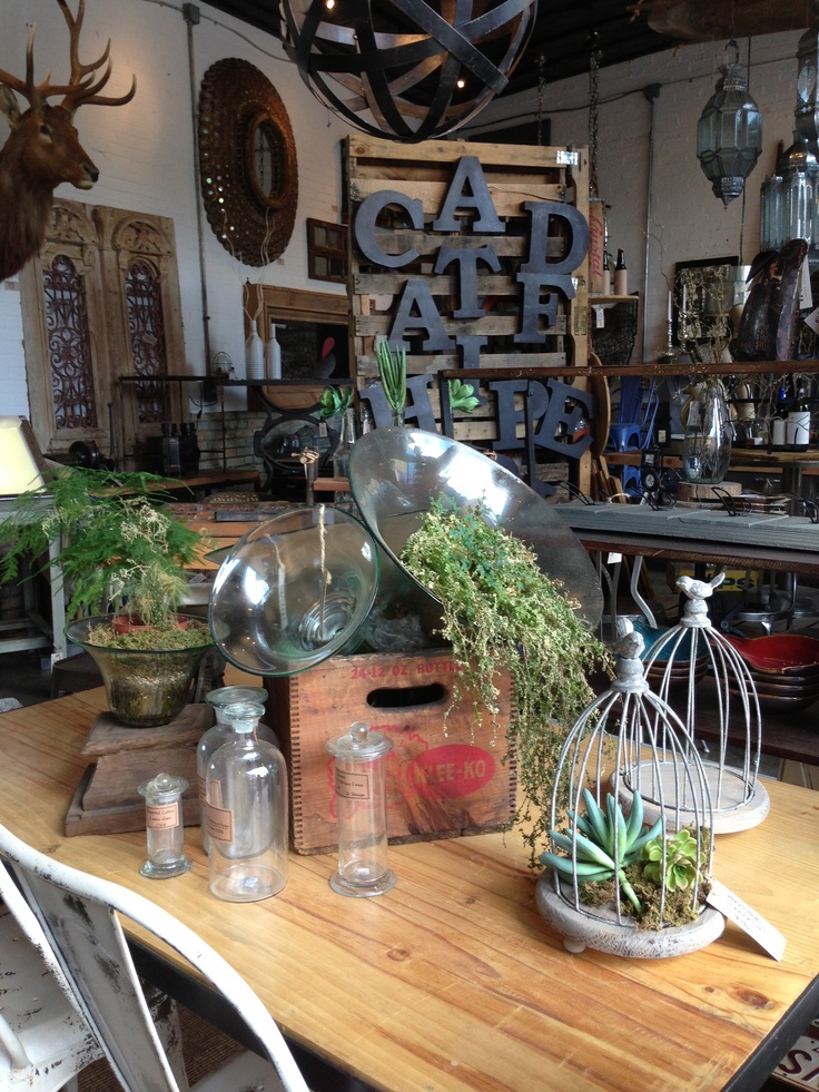 Herbal shops in columbus ohio