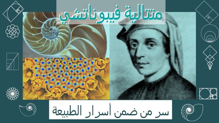 متتالية فيبوناتشي سر من ضمن أسرار الطبيعة ما وراء المادة Metaphysical Arabia Blog Movie Posters Blog Posts