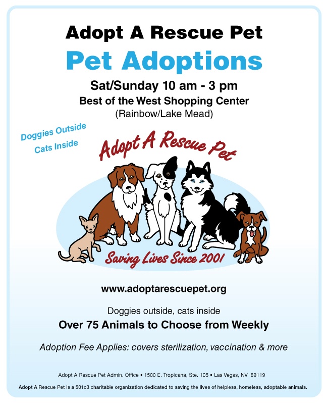 adoption las vegas 256 best arp las vegas adoptable dogs images on adoption foster care adoption las vegas 256 best arp las vegas adoptable dogs images on adoption foster care