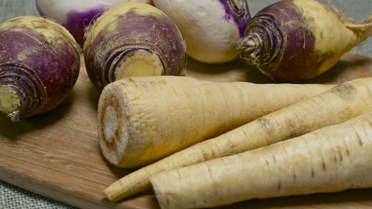 Can Dogs Eat Parsnips Can Dogs Eat Parsnips