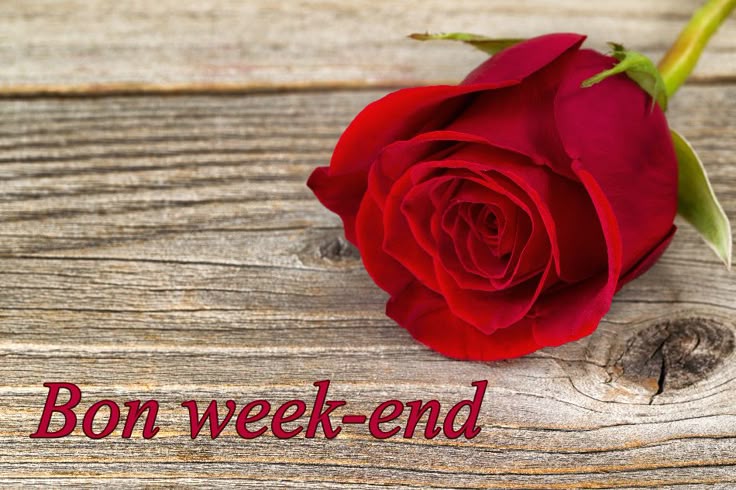 Cartes Virtuelles Gif Bon Week End Joliecarte Gif Bon Week End Bon cartes-virtuelles-gif-bon-week-end-joliecarte-gif-bon-week-end-bon