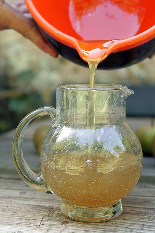 Ginger ale mocktail recipes easy Ginger ale mocktail recipes easy