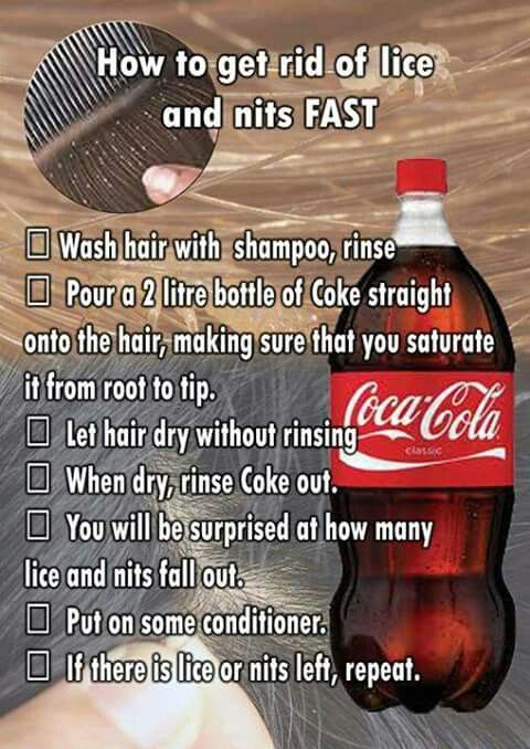 Natural Ways To Treat And Prevent Lice Natural Ways To Treat And Prevent Lice