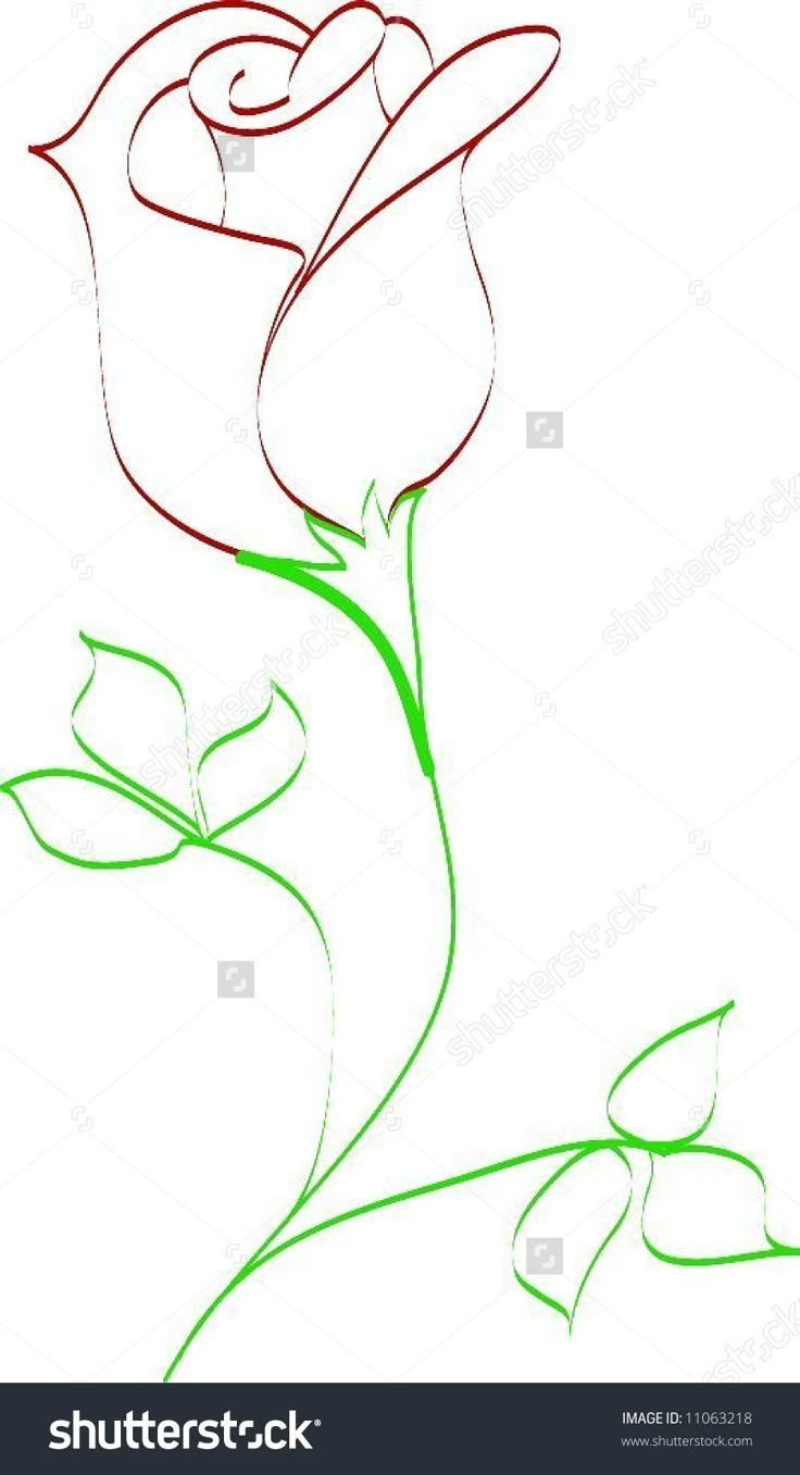 Simple Line Drawing Of Rose Bud Stock Vector Illustration 11063218