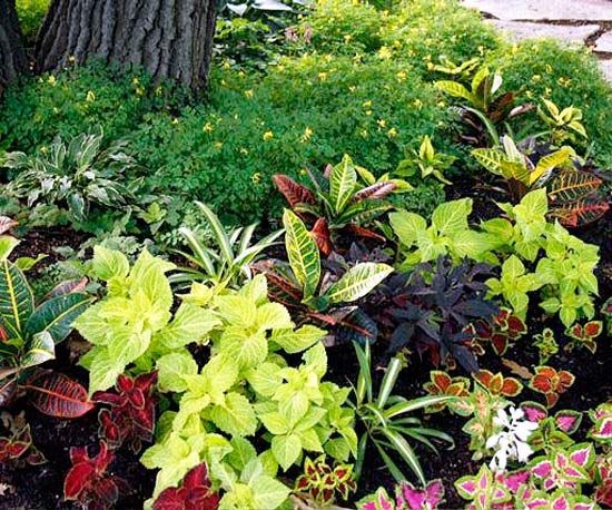 Garden Ideas For Minnesota 102 best garden-minnesota images on pinterest | minnesota, garden Garden Ideas For Minnesota 102 best garden-minnesota images on pinterest | minnesota, garden