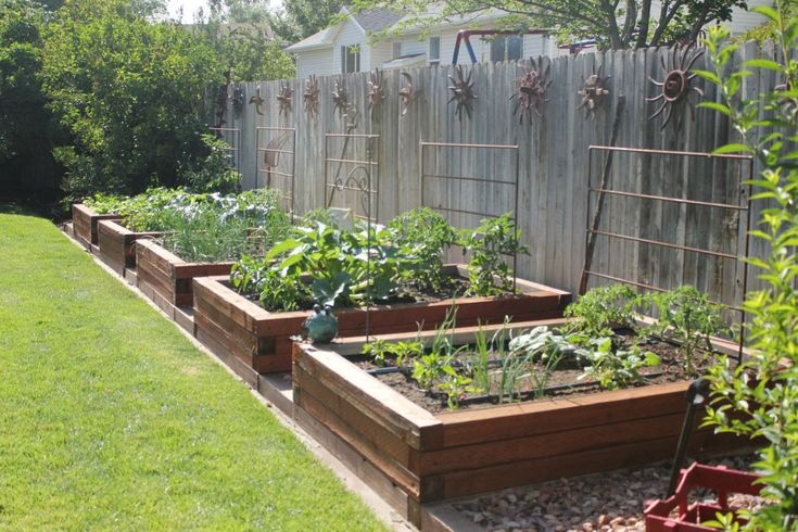 Affordable backyard vegetable garden designs ideas 19