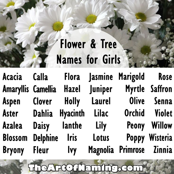 Nature Names For Girl Dogs Nature Names For Girl Dogs