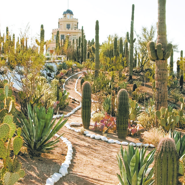 8 Quirky Arizona Attractions Landscape Arizona Attractions Landscape, Cactus Garden Tucson Az