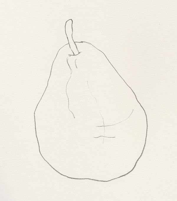 Simple Contour Line Drawing : Best simple contouring ideas on pinterest