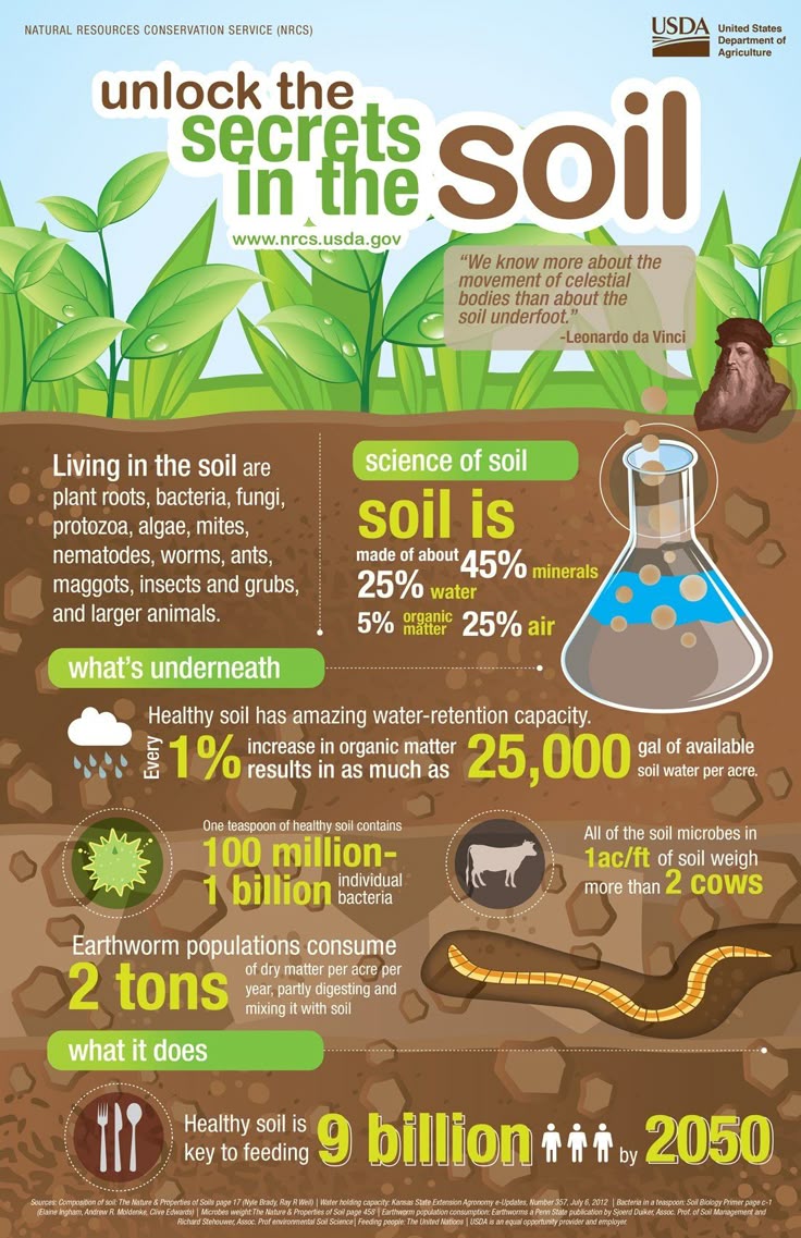 6 Fabulous Infographics About Soil Health INFOGRAPHIC Infographic 6-fabulous-infographics-about-soil-health-infographic-infographic
