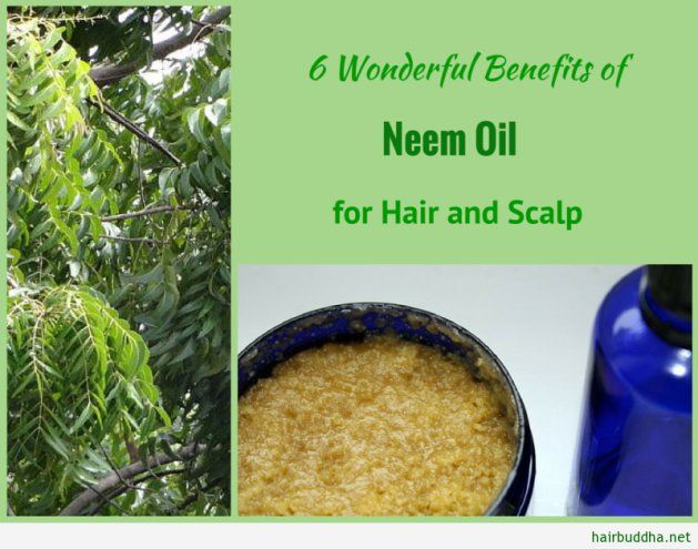 Best Of Nature Dry Scalp Remedy Best Of Nature Dry Scalp Remedy