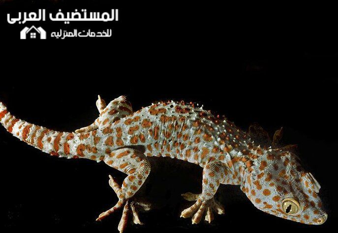 Pin On خدمات منزلية