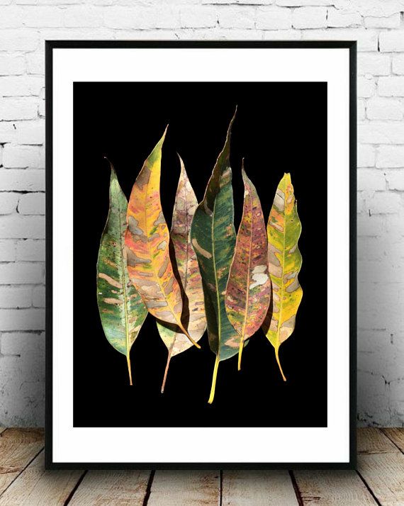 australian eucalyptus leaves leaf print botanical wall art plant art